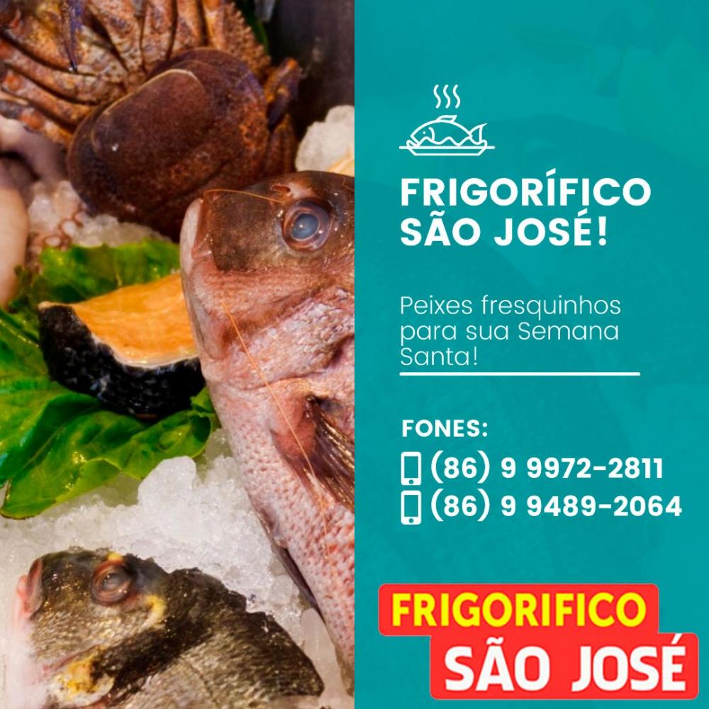 Frigorífico São José sua opção de qualidade para peixes frescos nesta