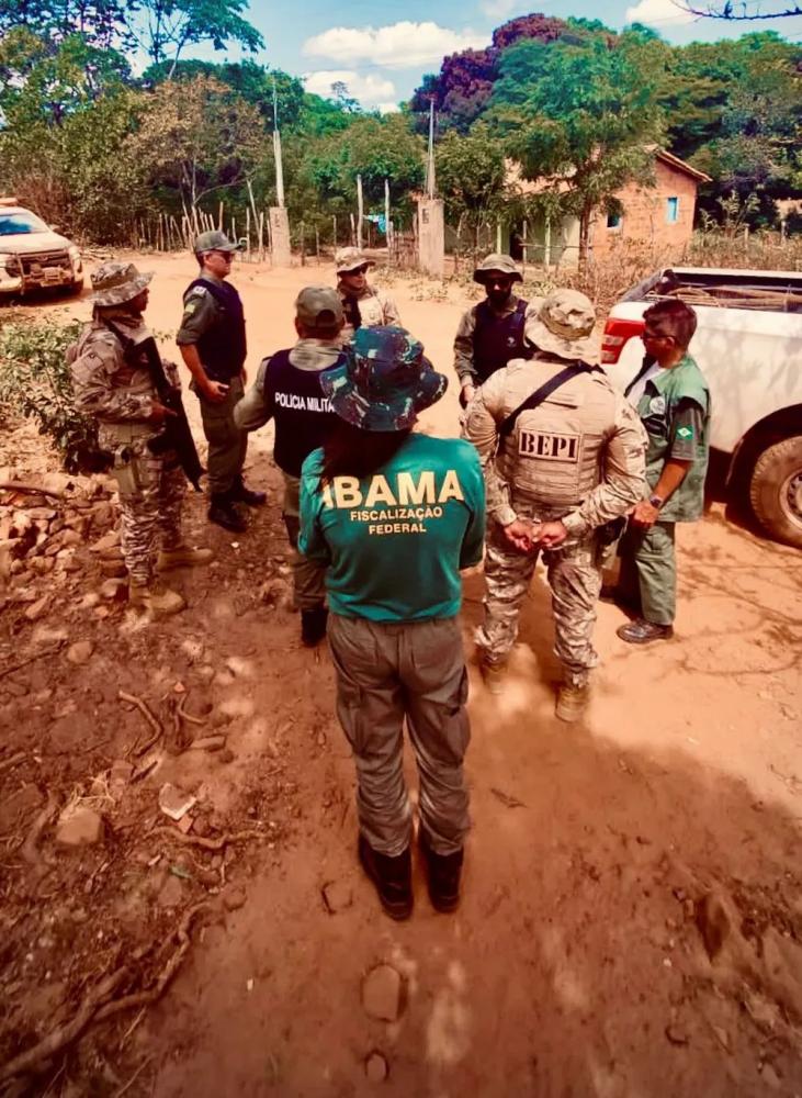 Operação Do Ibama Resgata Mais De 70 Animais Em Cativeiro E Aplica R ...